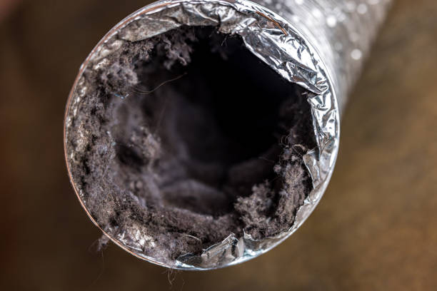 Best HVAC System Cleaning  in Dumont, NJ